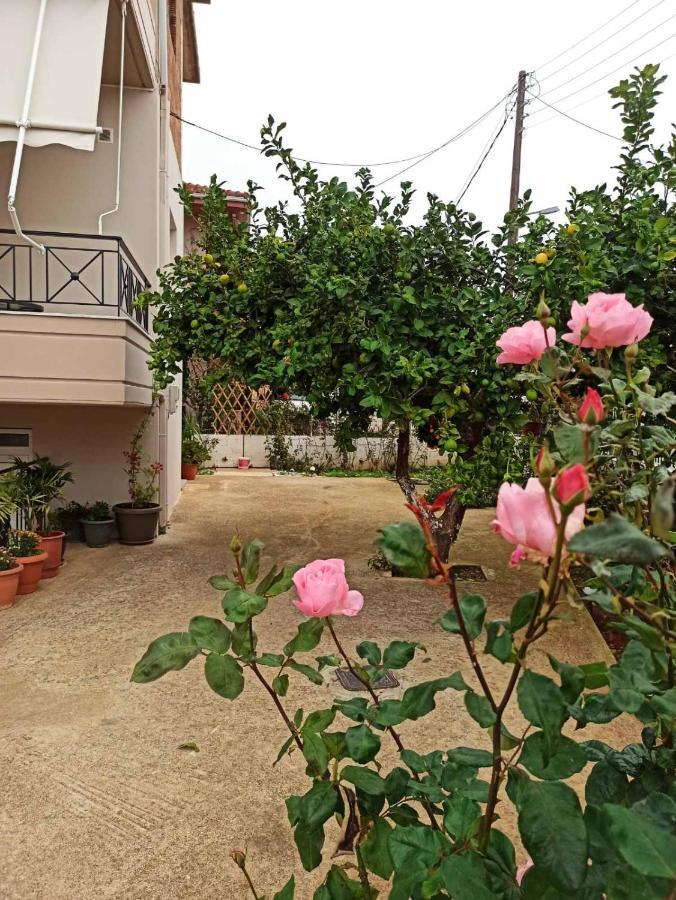 Agathi'S House Apartment Mytikas  Bagian luar foto