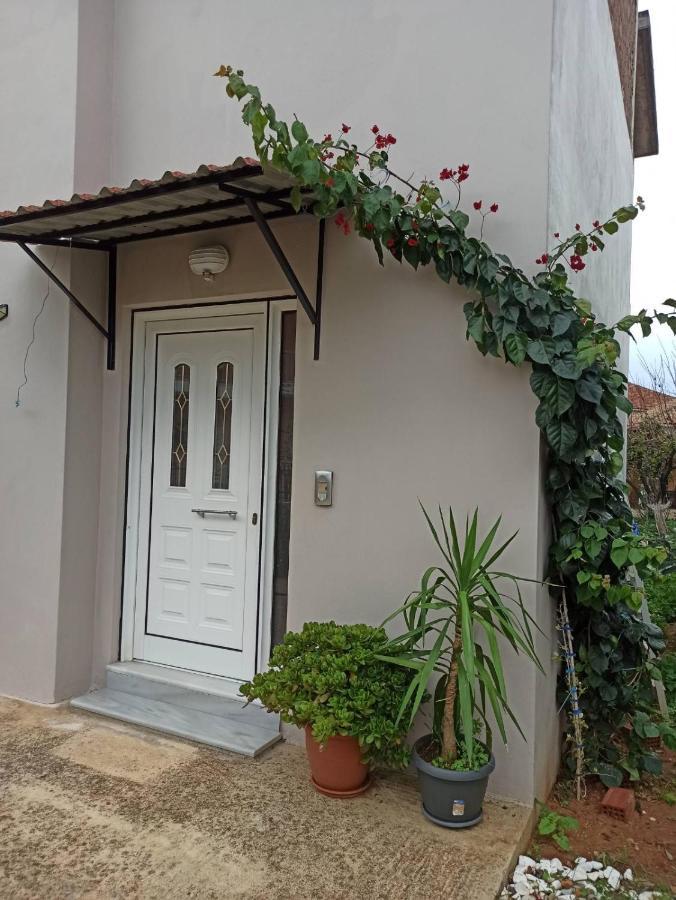 Agathi'S House Apartment Mytikas  Bagian luar foto