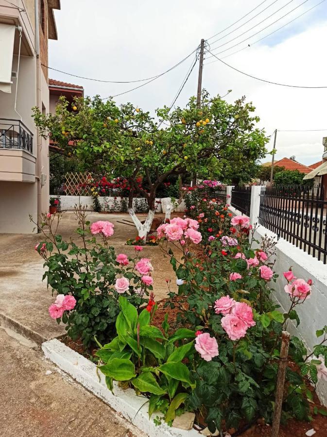 Agathi'S House Apartment Mytikas  Bagian luar foto